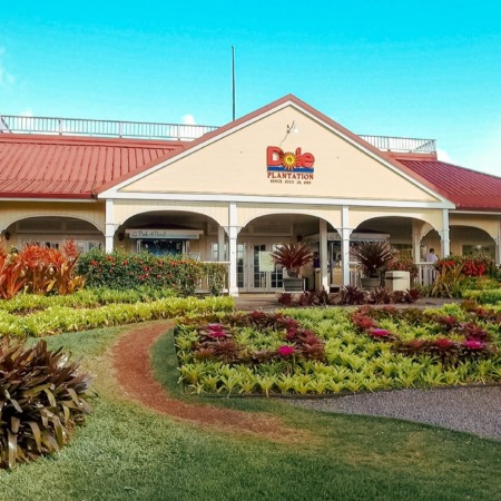 enoatours ultimate pearl harbor circle island dole plantation entrance family flowers