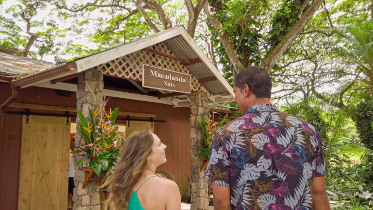 enoatours ultimate pearl harbor circle island macadamia nuts store couple trees 